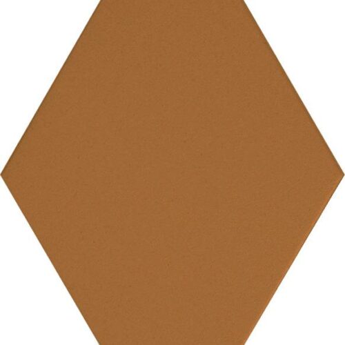 Rombo Biscotto 12x21